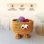 Homero Decorative Multiuse Woven Storage Basket