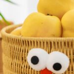 Homero Decorative Multiuse Woven Storage Basket