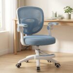 Homero Mesh Comfort Adjustable Height Ergonomic Study Chair