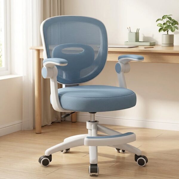 Homero Mesh Comfort Adjustable Height Ergonomic Study Chair