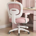 Homero Mesh Comfort Adjustable Height Ergonomic Study Chair