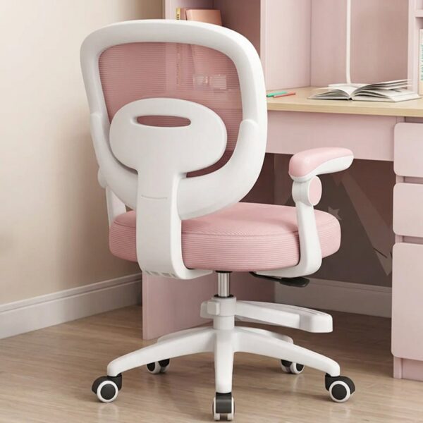 Homero Mesh Comfort Adjustable Height Ergonomic Study Chair