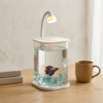 Homero Multi-Functional Ice Crystal Desktop Aquarium Setup with Lamp