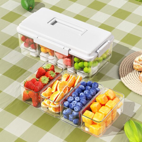 Homero Multi-Functional Portable Ice Cube Lunch Box with Sealed Compartments