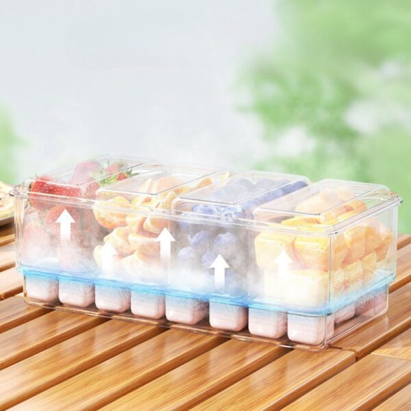 Homero Multi-Functional Portable Ice Cube Lunch Box with Sealed Compartments